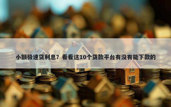 小额极速贷利息？看看这10个贷款平台有没有能下款的
