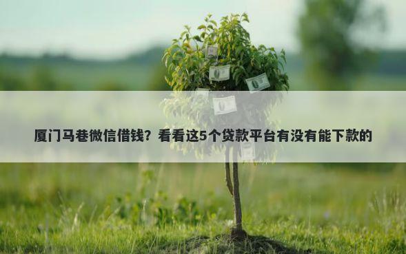 厦门马巷微信借钱？看看这5个贷款平台有没有能下款的