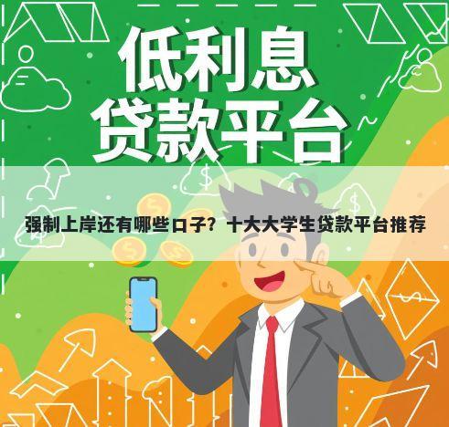 强制上岸还有哪些口子？十大大学生贷款平台推荐