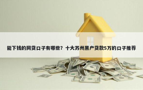 能下钱的网贷口子有哪些？十大苏州黑户贷款5万的口子推荐