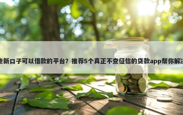 网贷有哪些新口子可以借款的平台？推荐5个真正不查征信的贷款app帮你解决资金问题