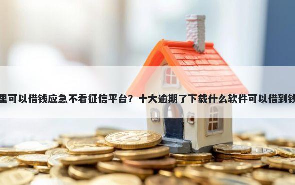 在哪里可以借钱应急不看征信平台？十大逾期了下载什么软件可以借到钱推荐