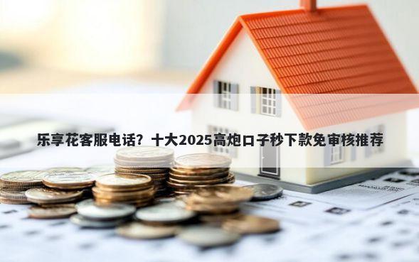 乐享花客服电话？十大2025高炮口子秒下款免审核推荐