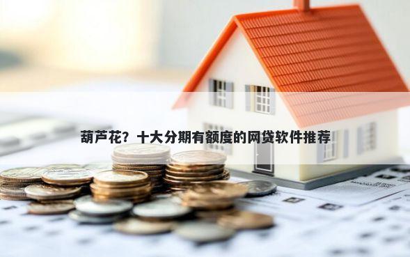 葫芦花？十大分期有额度的网贷软件推荐