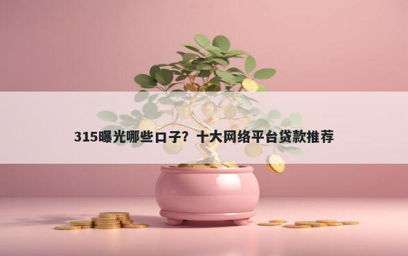315曝光哪些口子？十大网络平台贷款推荐