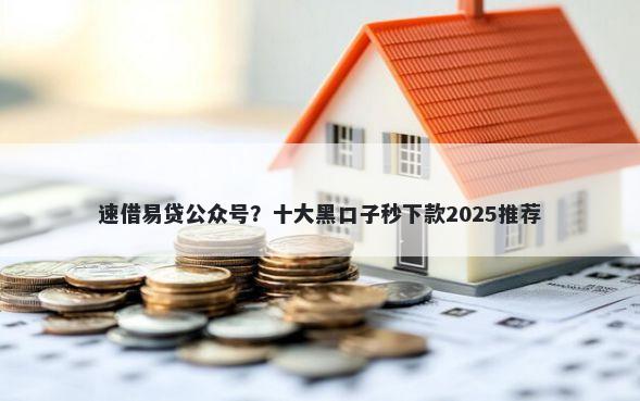 速借易贷公众号？十大黑口子秒下款2025推荐