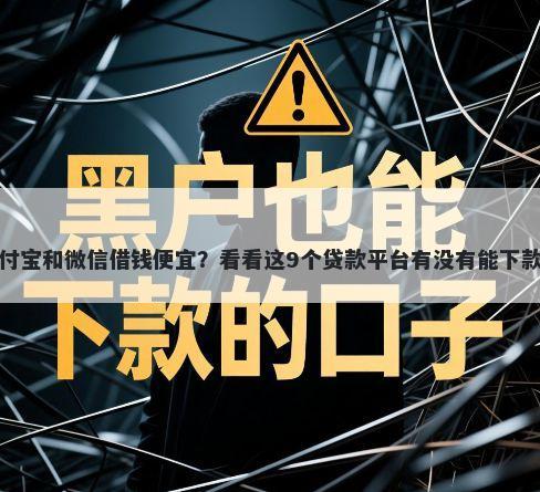 支付宝和微信借钱便宜？看看这9个贷款平台有没有能下款的