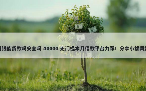 征信花了网贷被秒拒急用钱能贷款吗安全吗 40000 无门槛本月借款平台力荐！分享小额网贷口子40000无门槛借款