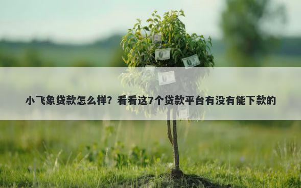 小飞象贷款怎么样？看看这7个贷款平台有没有能下款的