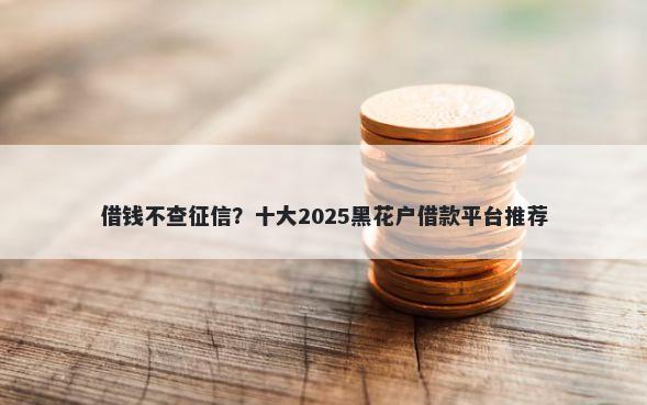 借钱不查征信？十大2025黑花户借款平台推荐