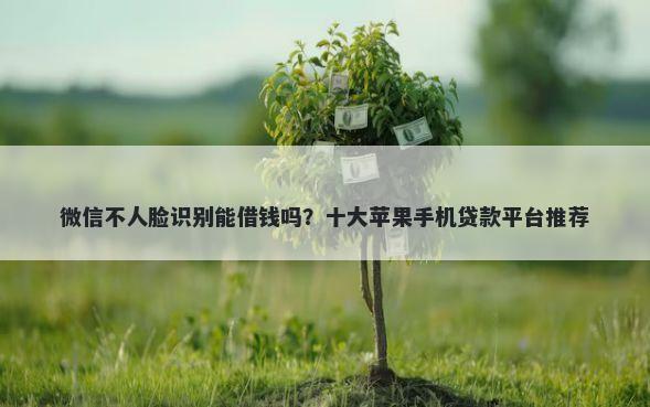 微信不人脸识别能借钱吗？十大苹果手机贷款平台推荐