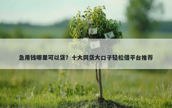 急用钱哪里可以贷？十大网贷大口子轻松借平台推荐