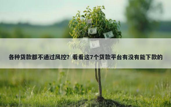 各种贷款都不通过风控?看看这7个贷款平台有没有能下款的