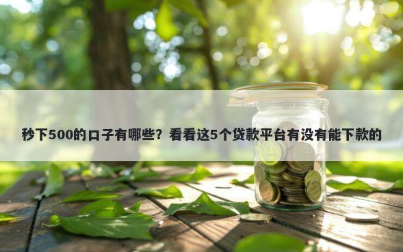 秒下500的口子有哪些？看看这5个贷款平台有没有能下款的