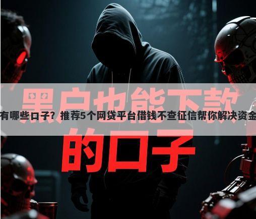高炮有哪些口子?推荐5个网贷平台借钱不查征信帮你解决资金问题