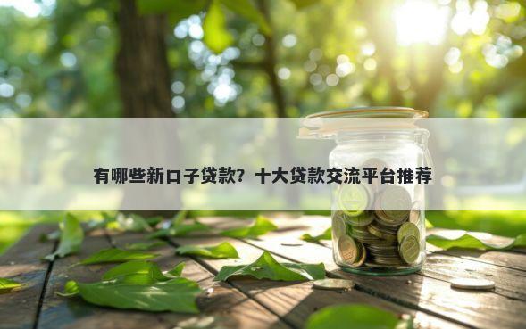 有哪些新口子贷款？十大贷款交流平台推荐