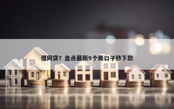 借网贷？盘点最新9个黑口子秒下款