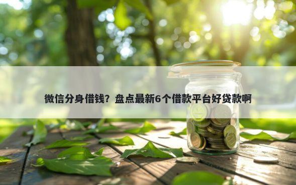 微信分身借钱？盘点最新6个借款平台好贷款啊