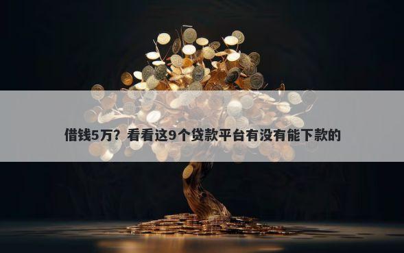 借钱5万？看看这9个贷款平台有没有能下款的