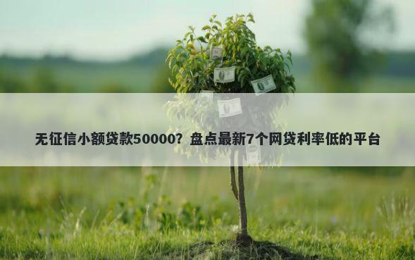 无征信小额贷款50000？盘点最新7个网贷利率低的平台