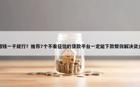 个人借钱一千就行?推荐7个不看征信的贷款平台一定能下款帮你解决资金问题
