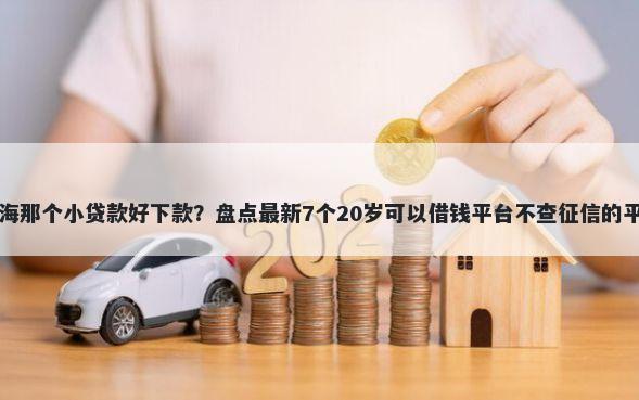 上海那个小贷款好下款?盘点最新7个20岁可以借钱平台不查征信的平台