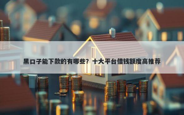 黑口子能下款的有哪些？十大平台借钱额度高推荐
