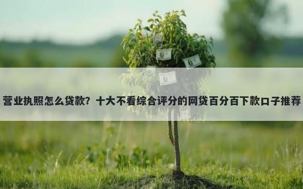 营业执照怎么贷款？十大不看综合评分的网贷百分百下款口子推荐