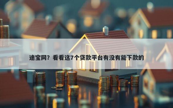 途宝网？看看这7个贷款平台有没有能下款的
