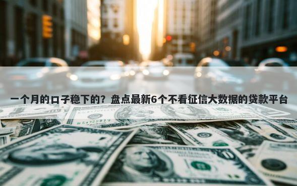 一个月的口子稳下的？盘点最新6个不看征信大数据的贷款平台