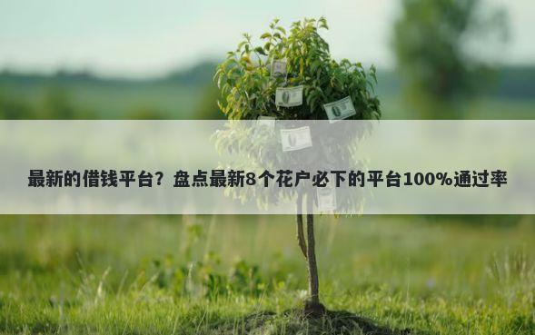最新的借钱平台?盘点最新8个花户必下的平台100%通过率