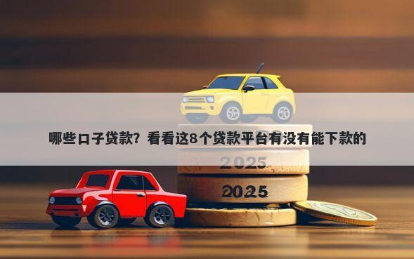 哪些口子贷款？看看这8个贷款平台有没有能下款的