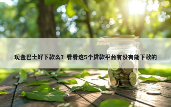 现金巴士好下款么?看看这5个贷款平台有没有能下款的