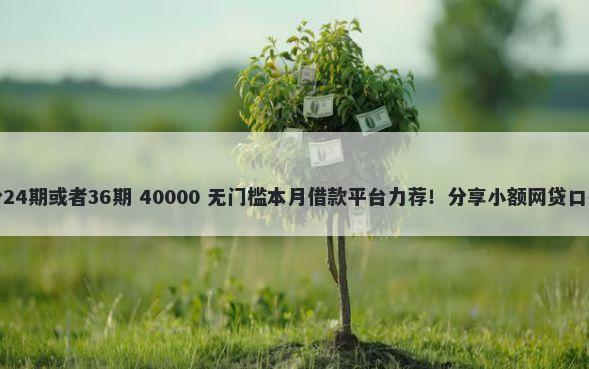 哪个网贷平台可以分24期或者36期 40000 无门槛本月借款平台力荐！分享小额网贷口子40000无门槛借款