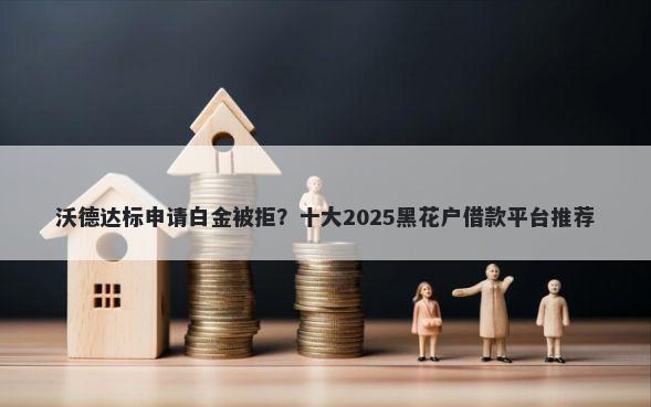 沃德达标申请白金被拒？十大2025黑花户借款平台推荐