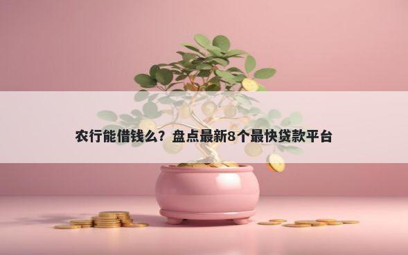 农行能借钱么？盘点最新8个最快贷款平台