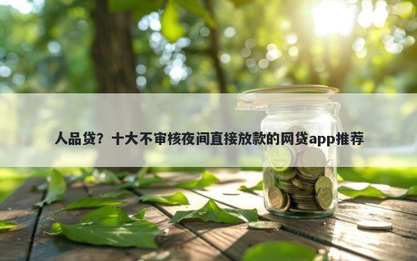 人品贷？十大不审核夜间直接放款的网贷app推荐