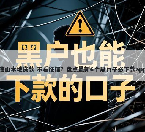 唐山本地贷款 不看征信？盘点最新6个黑口子必下款app