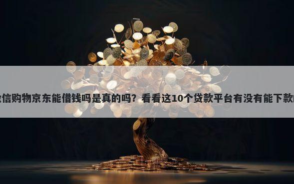 微信购物京东能借钱吗是真的吗？看看这10个贷款平台有没有能下款的