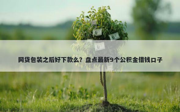 网贷包装之后好下款么？盘点最新9个公积金借钱口子