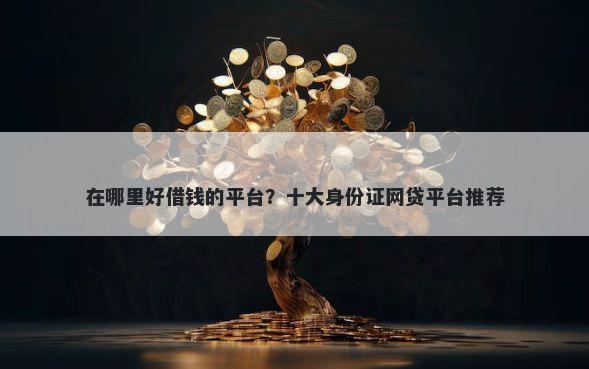 在哪里好借钱的平台？十大身份证网贷平台推荐