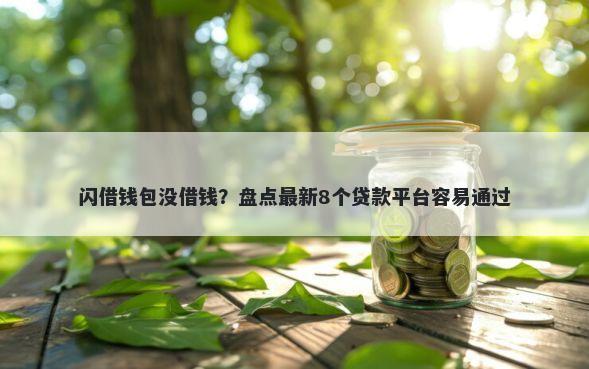 闪借钱包没借钱？盘点最新8个贷款平台容易通过