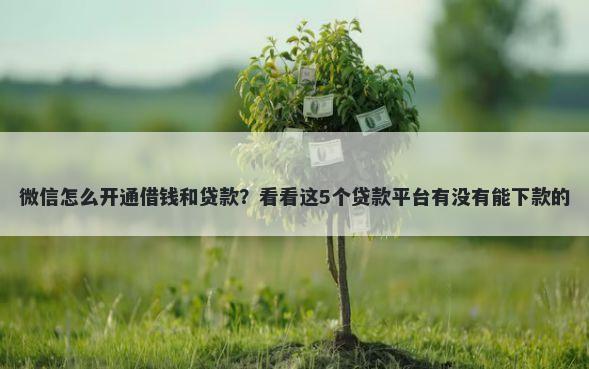 微信怎么开通借钱和贷款？看看这5个贷款平台有没有能下款的