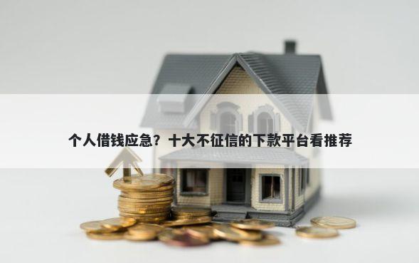 个人借钱应急？十大不征信的下款平台看推荐