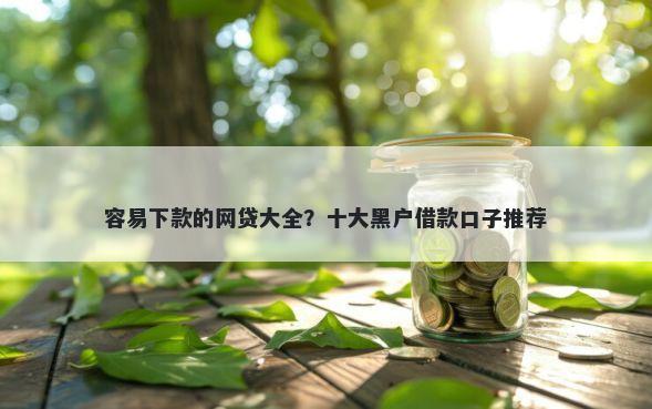 容易下款的网贷大全？十大黑户借款口子推荐