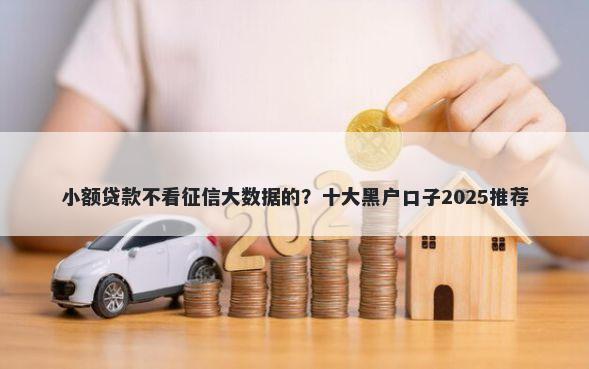 小额贷款不看征信大数据的？十大黑户口子2025推荐