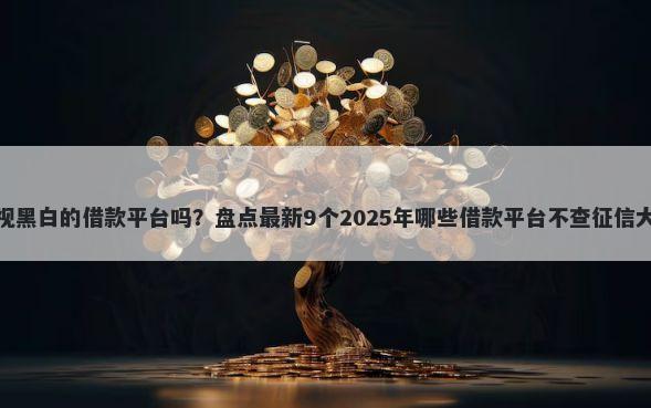 有无视黑白的借款平台吗？盘点最新9个2025年哪些借款平台不查征信大数据