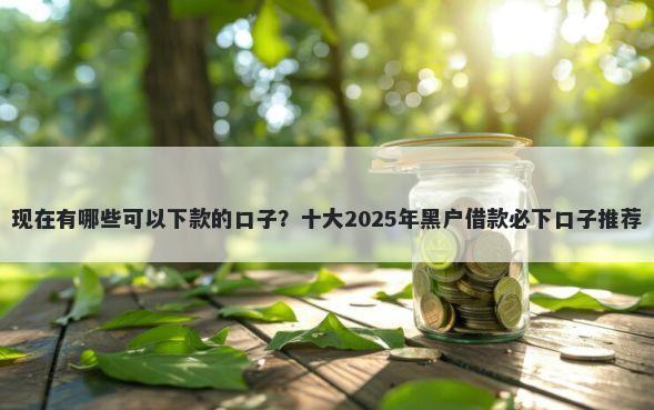 现在有哪些可以下款的口子？十大2025年黑户借款必下口子推荐