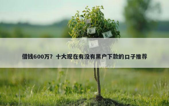 借钱600万？十大现在有没有黑户下款的口子推荐