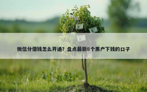 微信分借钱怎么开通？盘点最新8个黑户下钱的口子